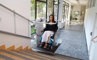 Liftboy piattaforma elevatrice mobile spostabile trasportabile per disabili